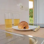 Prázdninový dům Lucija, Stinjan Pula